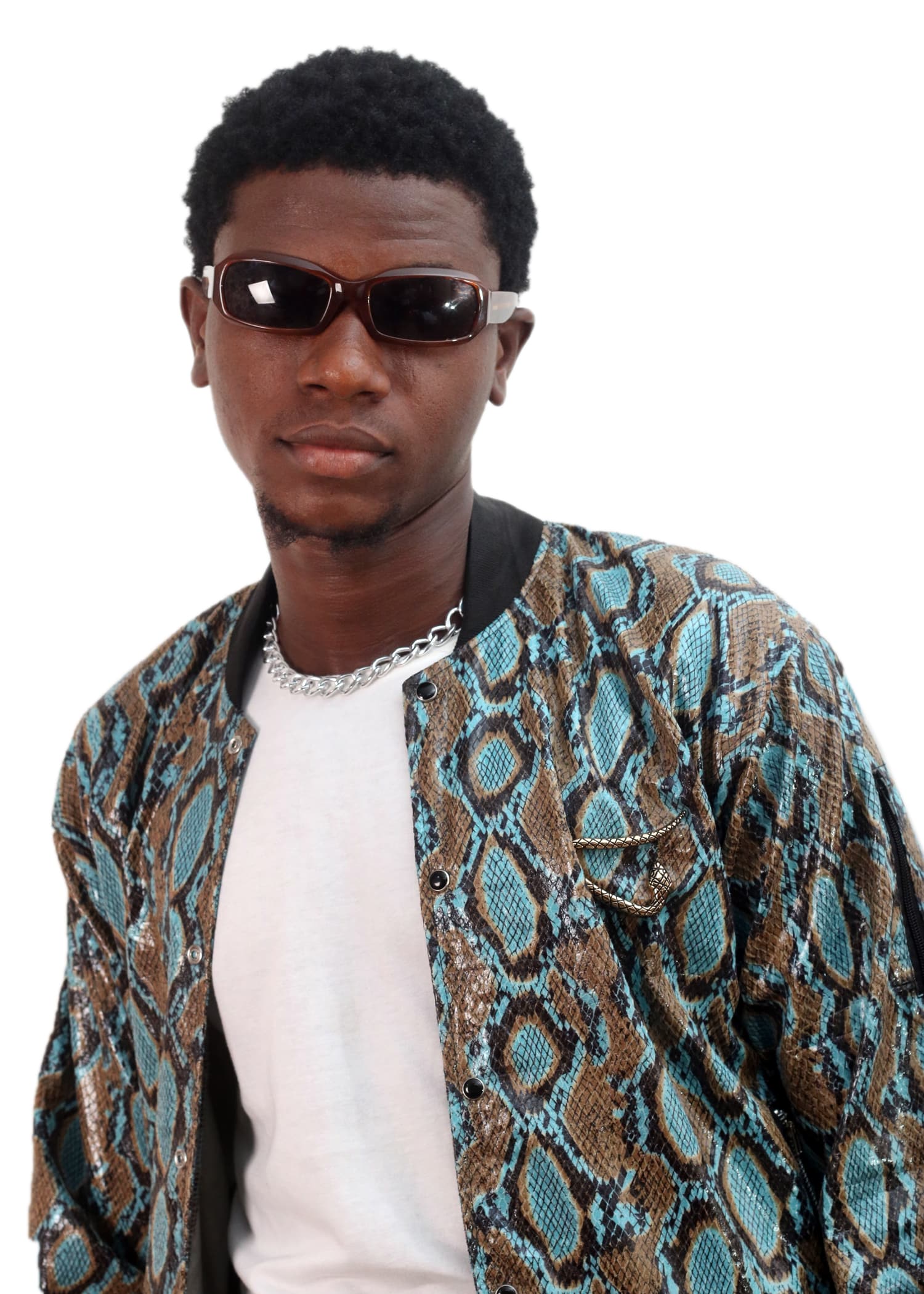 blue snakeskin jacket