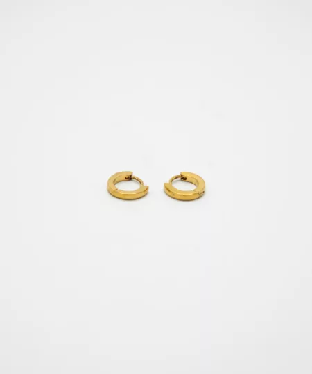 Huggie Hoop Earrings in Gold